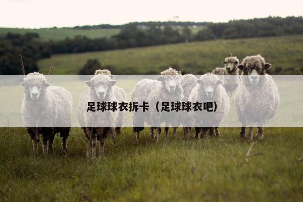 足球球衣拆卡（足球球衣吧）