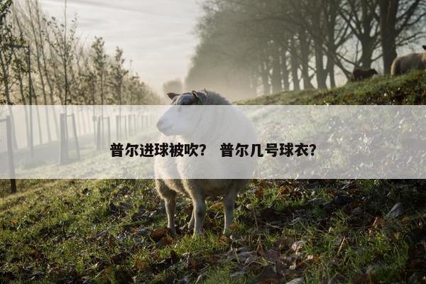普尔进球被吹？ 普尔几号球衣？