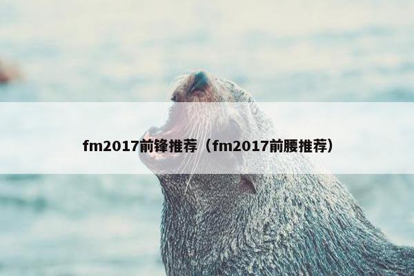 fm2017前锋推荐（fm2017前腰推荐）