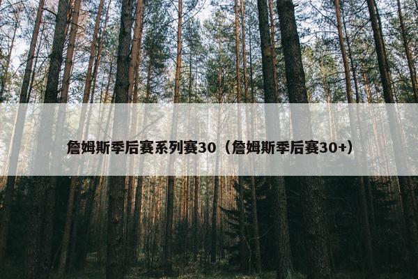 詹姆斯季后赛系列赛30（詹姆斯季后赛30+）