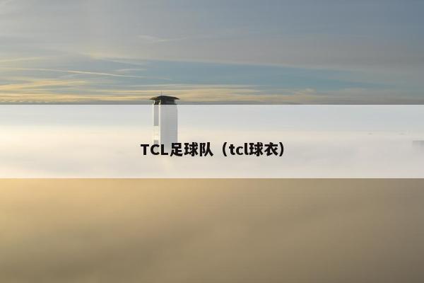 TCL足球队（tcl球衣）