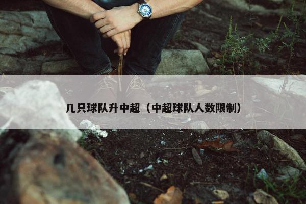 几只球队升中超（中超球队人数限制）