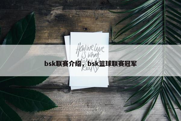 bsk联赛介绍，bsk篮球联赛冠军
