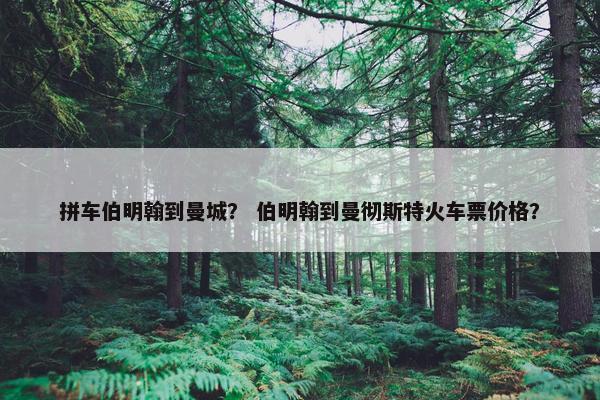 拼车伯明翰到曼城？ 伯明翰到曼彻斯特火车票价格？
