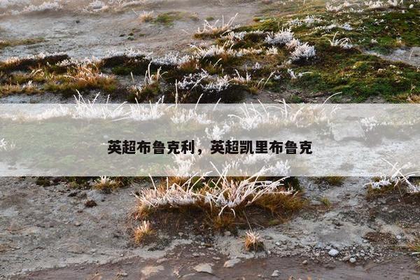 英超布鲁克利，英超凯里布鲁克