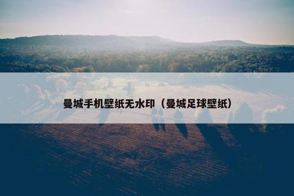 曼城手机壁纸无水印（曼城足球壁纸）
