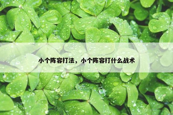小个阵容打法，小个阵容打什么战术