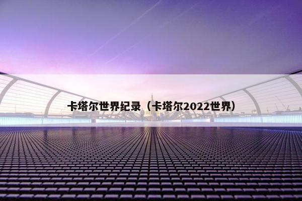 卡塔尔世界纪录（卡塔尔2022世界）