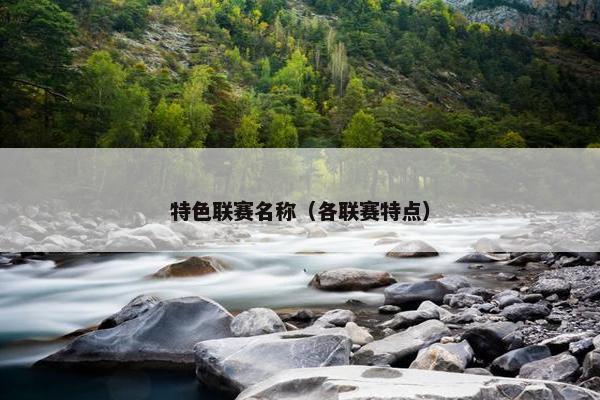 特色联赛名称（各联赛特点）