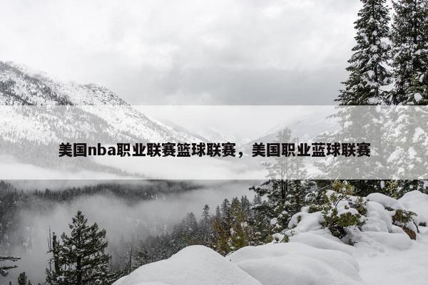 美国nba职业联赛篮球联赛，美国职业蓝球联赛