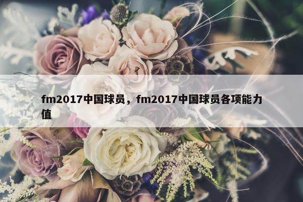 fm2017中国球员，fm2017中国球员各项能力值