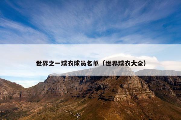 世界之一球衣球员名单（世界球衣大全）