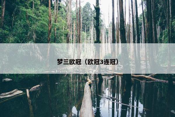 梦三欧冠（欧冠3连冠）