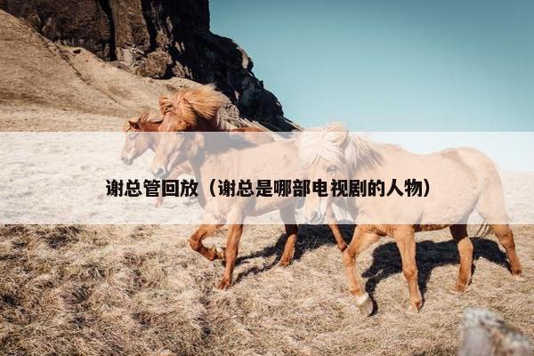 谢总管回放（谢总是哪部电视剧的人物）
