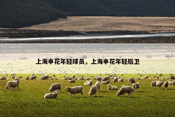 上海申花年轻球员，上海申花年轻后卫