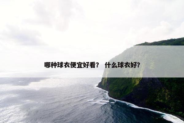 哪种球衣便宜好看？ 什么球衣好？