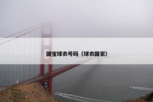 国宝球衣号码（球衣国家）