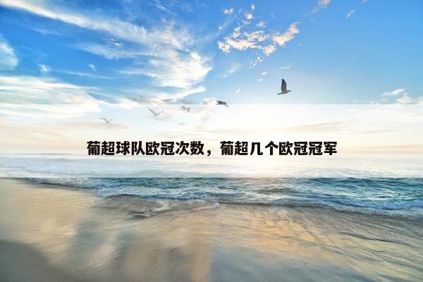 葡超球队欧冠次数，葡超几个欧冠冠军