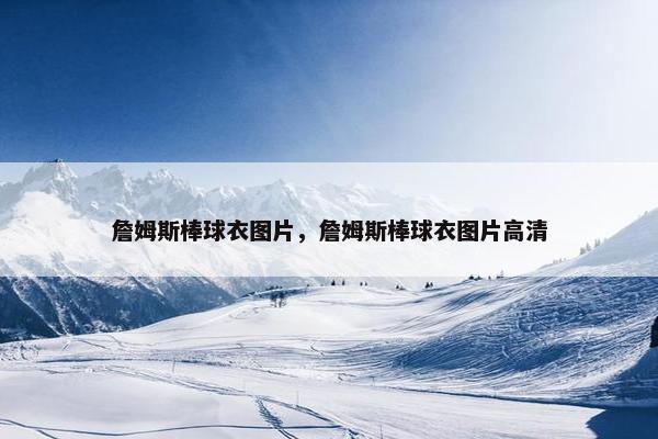詹姆斯棒球衣图片，詹姆斯棒球衣图片高清