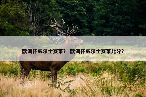 欧洲杯威尔士赛事？ 欧洲杯威尔士赛事比分？
