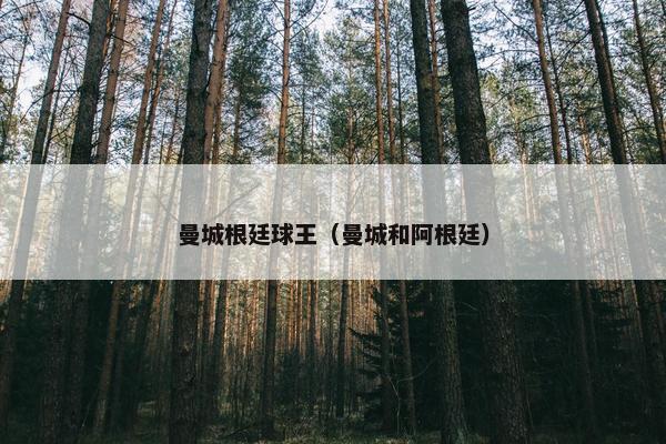 曼城根廷球王（曼城和阿根廷）