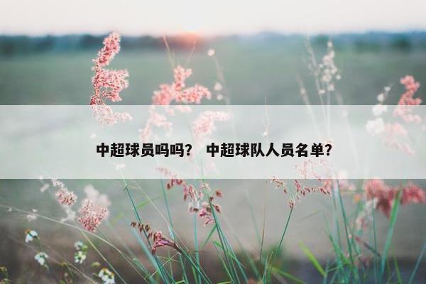 中超球员吗吗？ 中超球队人员名单？