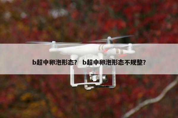 b超中卵泡形态？ b超中卵泡形态不规整？