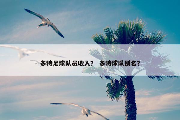 多特足球队员收入？ 多特球队别名？