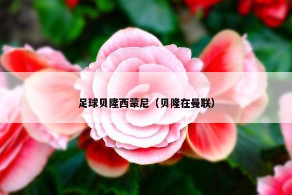 足球贝隆西蒙尼（贝隆在曼联）