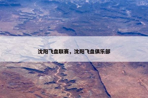 沈阳飞盘联赛，沈阳飞盘俱乐部