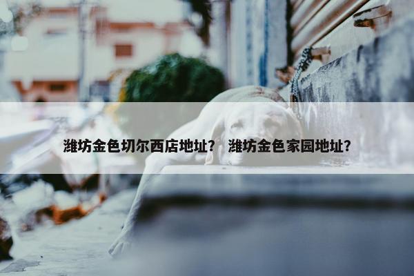 潍坊金色切尔西店地址？ 潍坊金色家园地址？