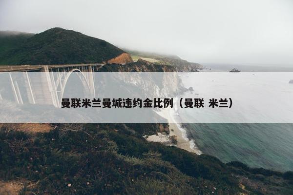 曼联米兰曼城违约金比例（曼联 米兰）
