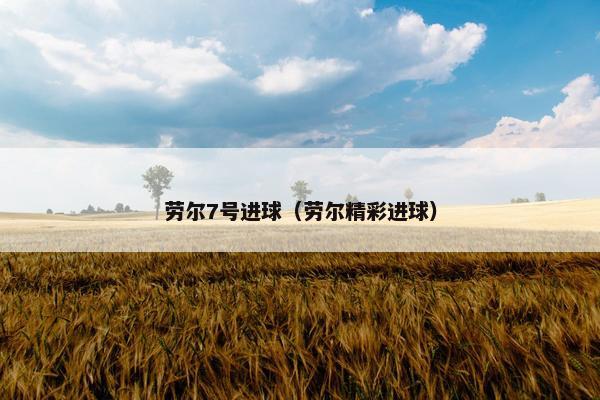 劳尔7号进球（劳尔精彩进球）