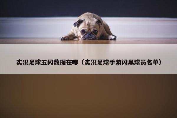 实况足球五闪数据在哪（实况足球手游闪黑球员名单）