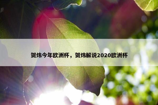 贺炜今年欧洲杯，贺炜解说2020欧洲杯