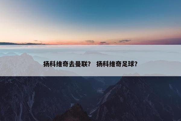 扬科维奇去曼联？ 扬科维奇足球？