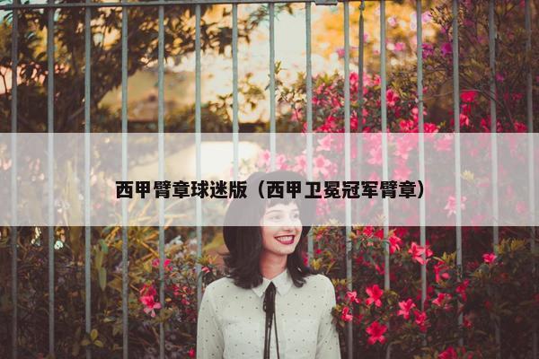 西甲臂章球迷版（西甲卫冕冠军臂章）