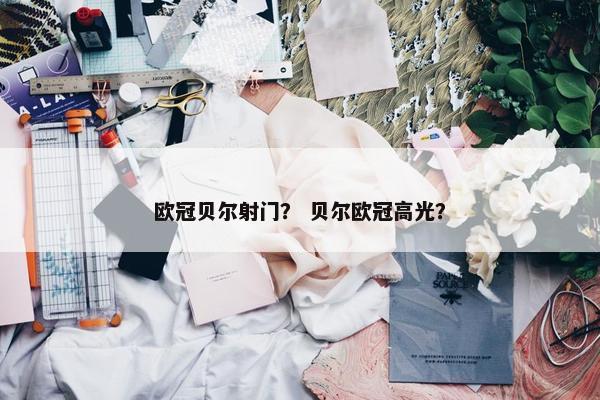 欧冠贝尔射门？ 贝尔欧冠高光？