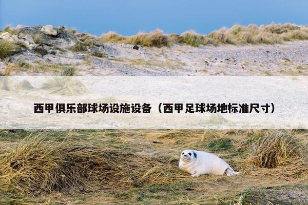 西甲俱乐部球场设施设备（西甲足球场地标准尺寸）