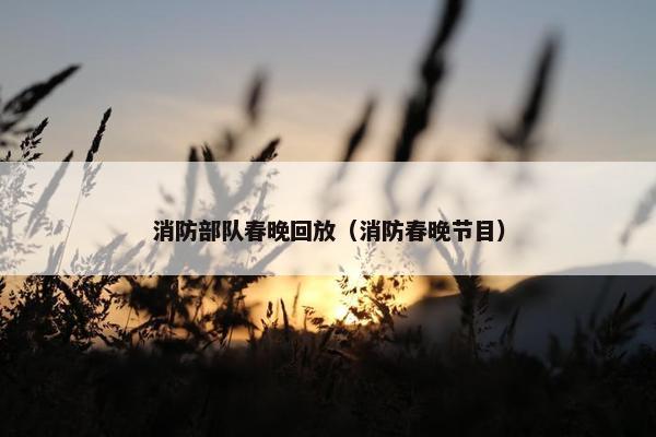 消防部队春晚回放（消防春晚节目）