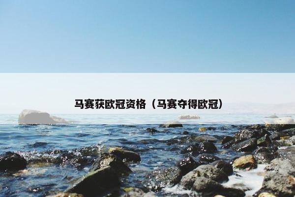 马赛获欧冠资格（马赛夺得欧冠）