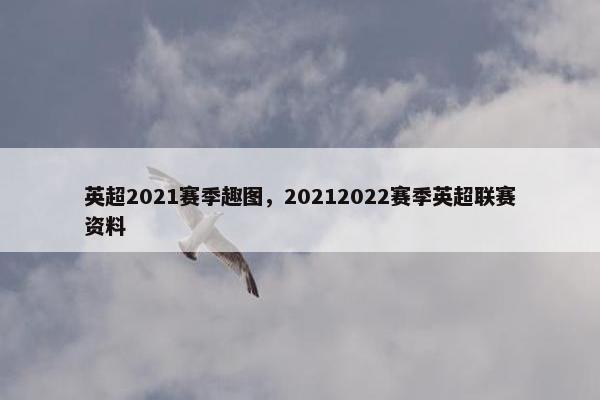英超2021赛季趣图，20212022赛季英超联赛资料