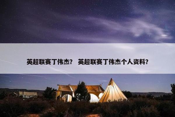 英超联赛丁伟杰？ 英超联赛丁伟杰个人资料？