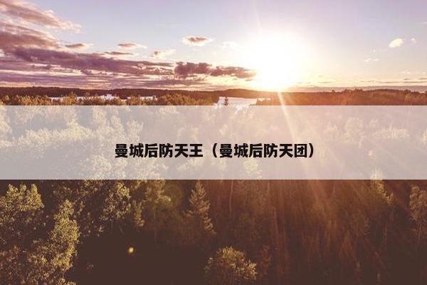 曼城后防天王（曼城后防天团）