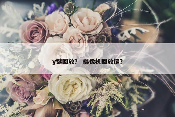 y键回放？ 摄像机回放键？