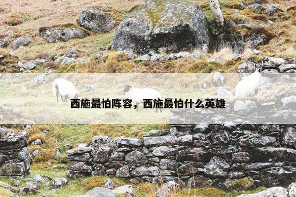 西施最怕阵容，西施最怕什么英雄