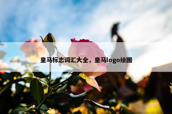 皇马标志词汇大全，皇马logo绘图