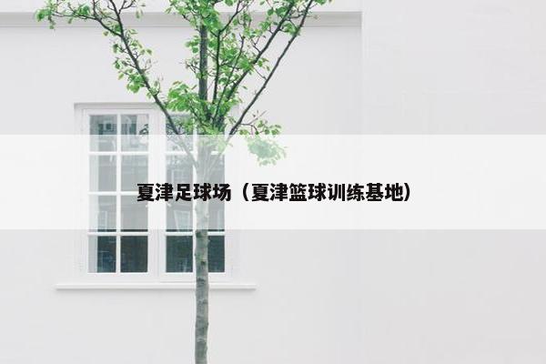 夏津足球场（夏津篮球训练基地）