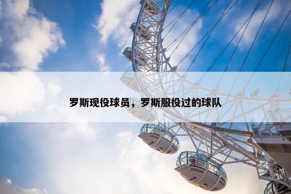 罗斯现役球员，罗斯服役过的球队