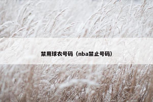 禁用球衣号码（nba禁止号码）